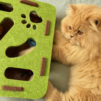 Felt Cat Puzzle Box