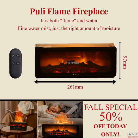 Puli Oil Aroma Diffuser