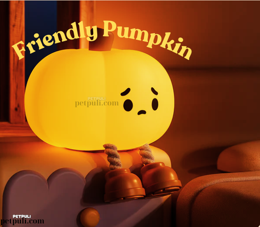 Pumpkin Puli - Warm Friend